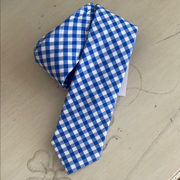 Crewcuts Other - CREWCUTS TIE 52” - Blue and White Gingham